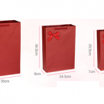 color-printed-paper-gift-bag-03