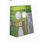 foldable-reusable-paper-shopping-bag-01