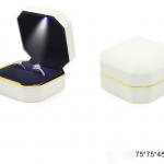 led-double-ring-box-02