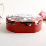 lovely-hello-kitty-tin-printing-metal-box-with-handle-02