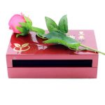wooden-chinese-wolfberry-box-01
